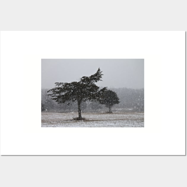 Snow Squall Wall Art by photoclique